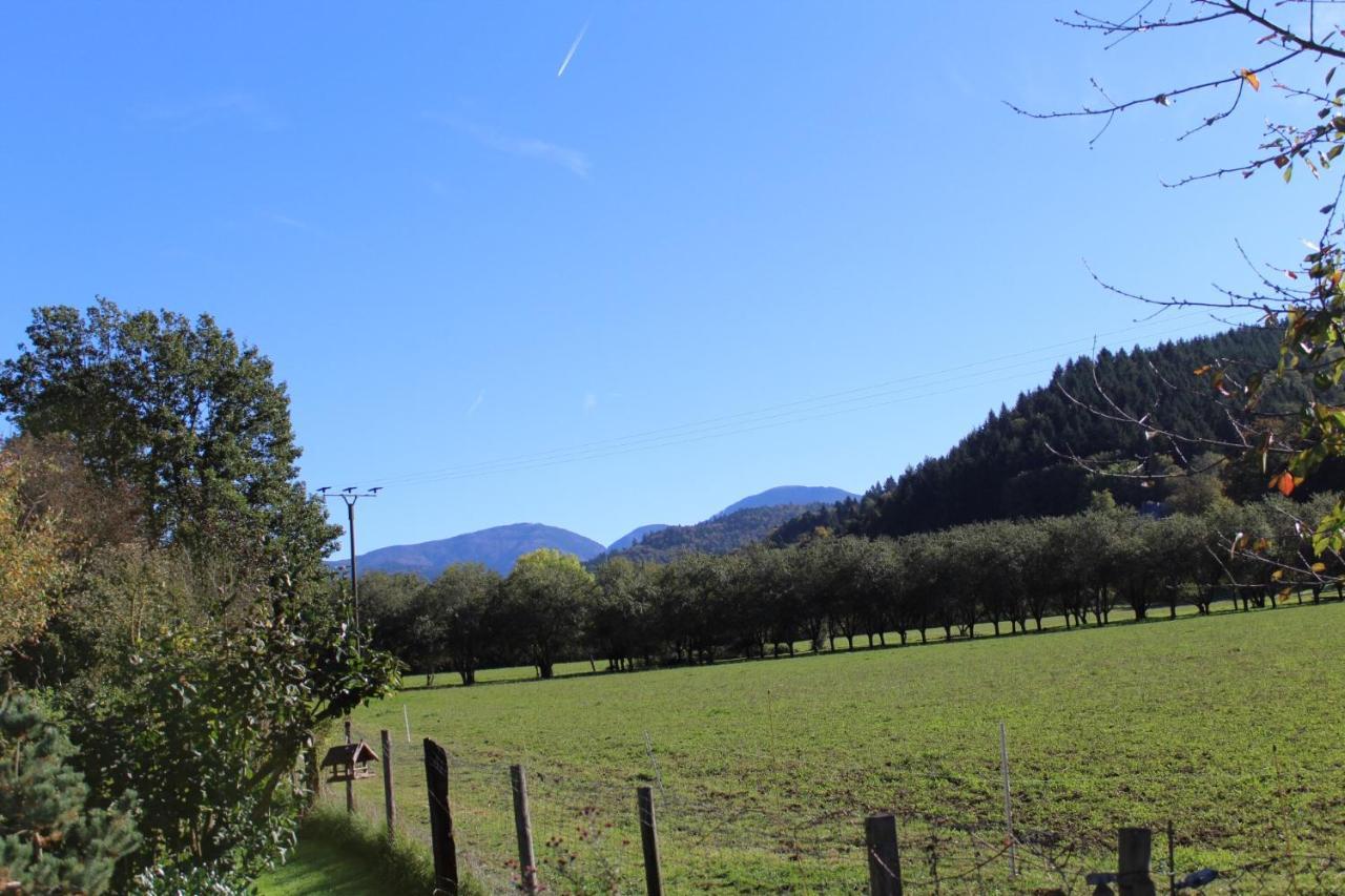 Ferienwohnung Im Weingewoelbe Staufen im Breisgau Buitenkant foto