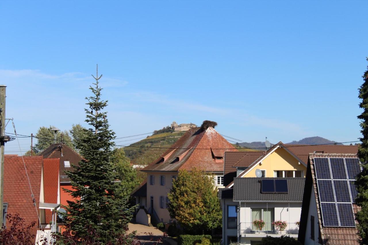 Ferienwohnung Im Weingewoelbe Staufen im Breisgau Buitenkant foto